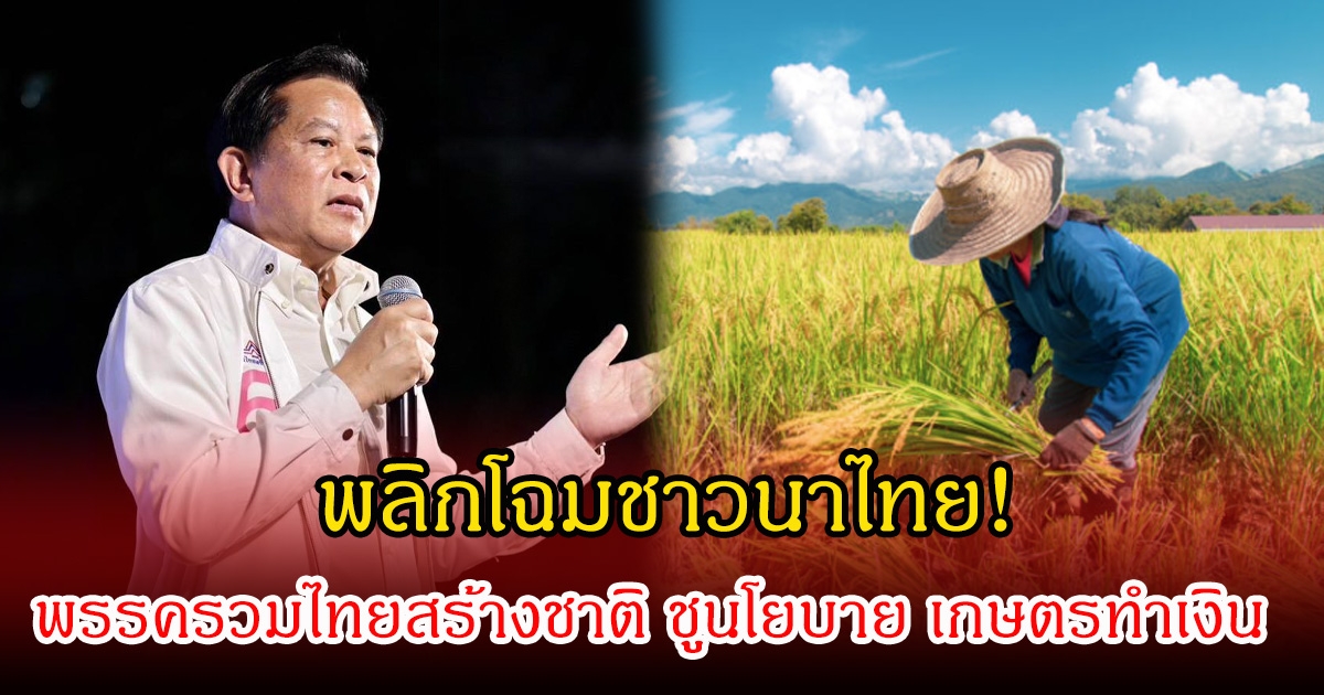 พลิกโฉมชาวนาไทย! พรรครวมไทยสร้างชาติ ชูนโยบาย เกษตรทำเงิน