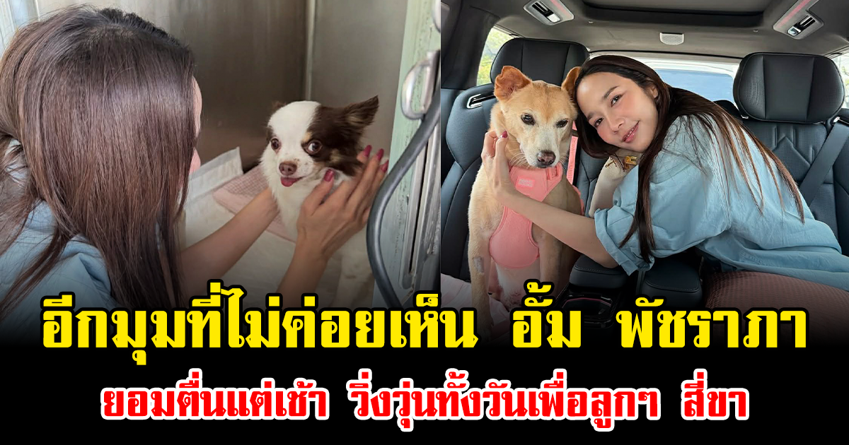 อีกมุมที่ไม่ค่อยเห็น อั้ม พัชราภา ยอมตื่นแต่เช้า วิ่งวุ่นทั้งวันเพื่อลูกๆ สี่ขา
