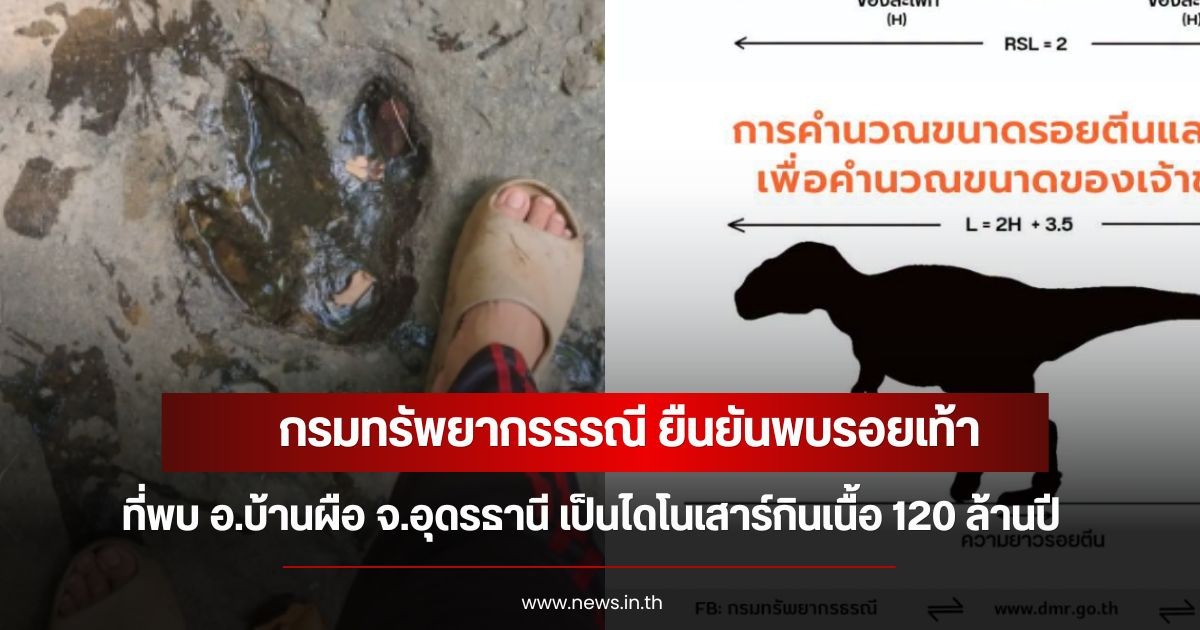กรมทรัพยากรธรณี ยืนยันพบรอยเท้า ที่พบ อ.บ้านผือ จ.อุดรธานี เป็นไดโนเสาร์กินเนื้อ 120 ล้านปี