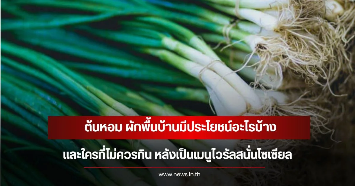 ต้นหอม ผักพื้นบ้านมีประโยชน์อะไรบ้าง และใครที่ไม่ควรกิน หลังเป็นเมนูไวรัลสนั่นโซเซียล