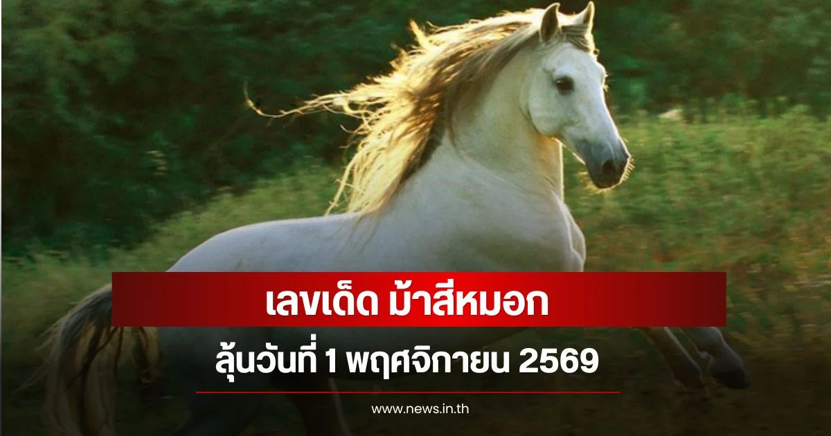 เลขเด็ด ม้าสีหมอก  ลุ้นวันที่ 1 พฤศจิกายน 2569