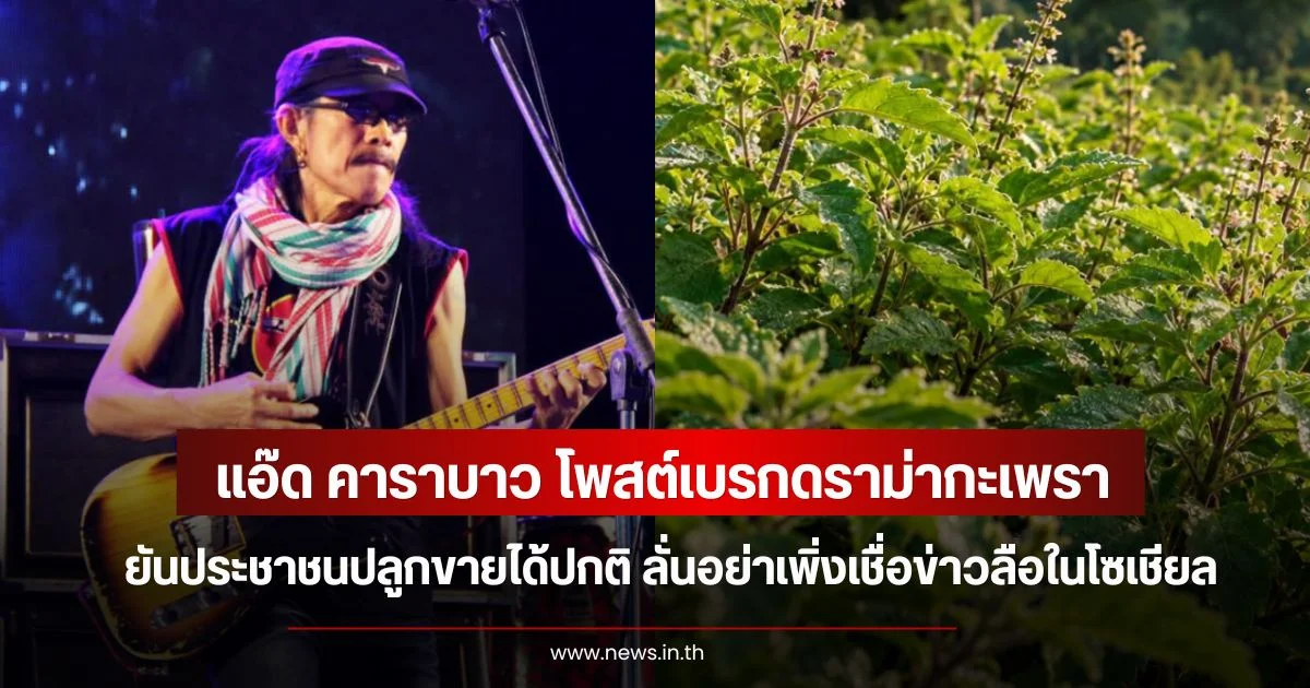 แอ๊ด คาราบาว โพสต์เบรกดราม่ากะเพรา  ยันประชาชนปลูกขายได้ปกติ ลั่นอย่าเพิ่งเชื่อข่าวลือในโซเชียล