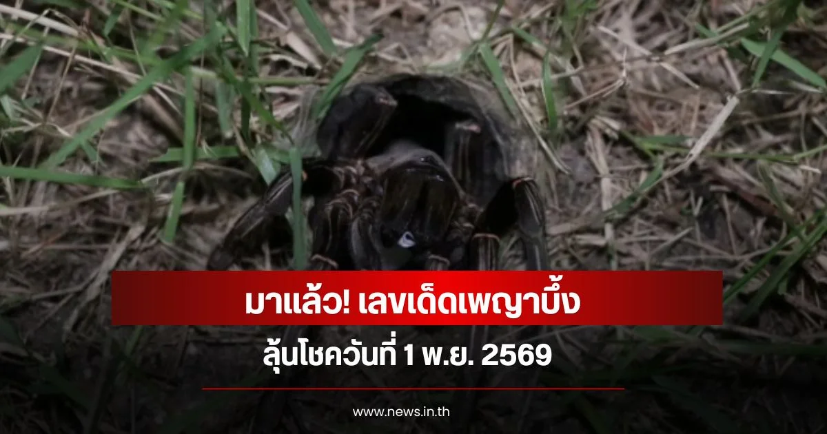 มาแล้ว! เลขเด็ดเพญาบึ้ง ลุ้นโชควันที่ 1 พ.ย. 2569